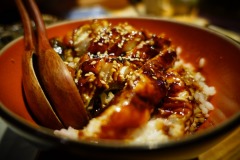 Unagi-Don